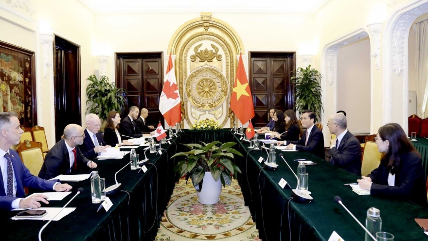 Vietnam and Canada hold political consultation in Hanoi